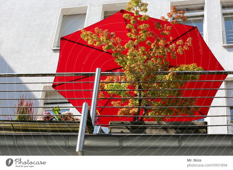 UT I Nur schweben ist schöner I Balkonien Sonnenschirm Sommer Froschperspektive Bäumchen Geländer Mehrfamilienhaus zuhause orange Stadt Häusliches Leben