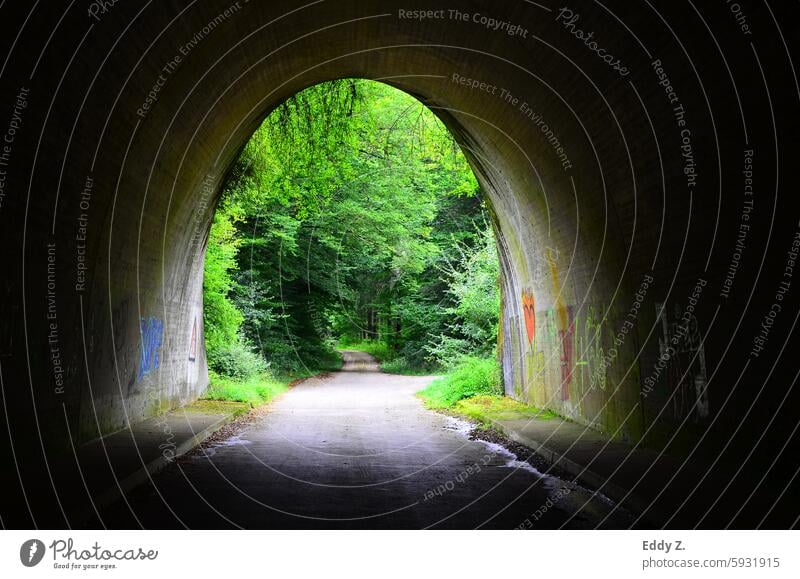 am Ende des Tunnels erstrahlt ein lebendiger, grüner Wald, der Abenteuer und Entdeckungen verspricht. Der Kontrast zwischen Dunkelheit und Licht lädt zu einer Reise ins Unbekannte ein.