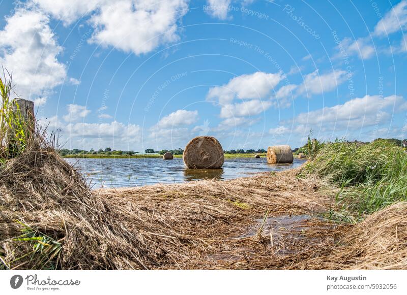 Nach der Sturmflut Strohballen im Nordsee Wasser Feld Himmel Sommer Ernte Landwirtschaft Natur Heuballen Insel Sylt Nordseeküste Wolken Flora Botanik Meer