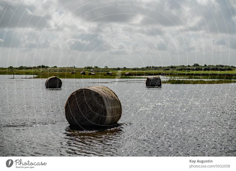 Überflutet Sturmflut Strohballen Nordsee Heuballen Natur Flora Botanik Insel Sylt Sommer Himmel Wolken Wetter Umwelt Wasser Perspektive Landwirtschaft