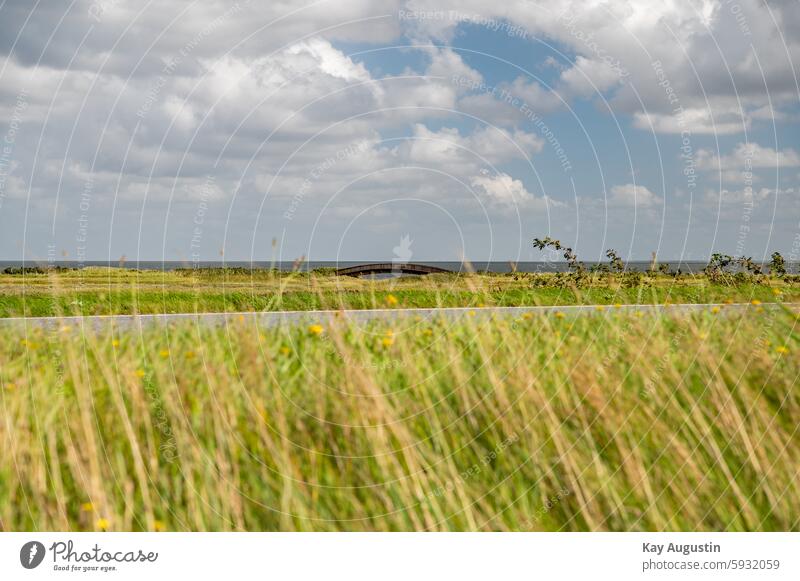 Holzbogenbrücke Lügenbrücke Salzwiesen Bogenbrücke Natur Sylt Keitum und Munkmarsch Wattenmeer Bohlensteg Landschaft Fotografie Landschaftsbild Hotspot