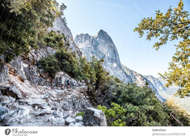 yosemite Wald Gipfel Natur Ferien & Urlaub & Reisen Felsen Himmel Berge u. Gebirge Landschaft reisen Yosemite NP Kalifornien Bäume Abenteuer Fernweh USA Amerika