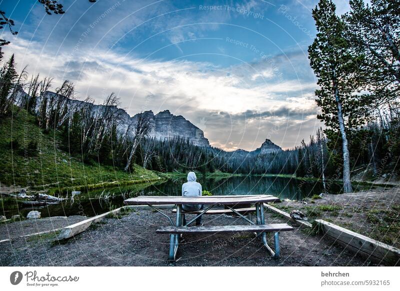 wenn man angekommen ist träumen Kindheit Junge stille Wyoming USA Amerika Wasser Wolken See Bäume Berge u. Gebirge Landschaft Wald fantastisch