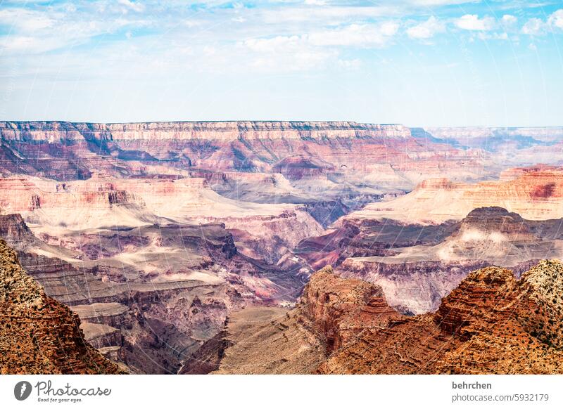 unterwegs in arizona Fernweh Arizona Endlosigkeit endlos Landschaft außergewöhnlich fantastisch USA Amerika Himmel Grand Canyon Natur überwältigt überwältigend