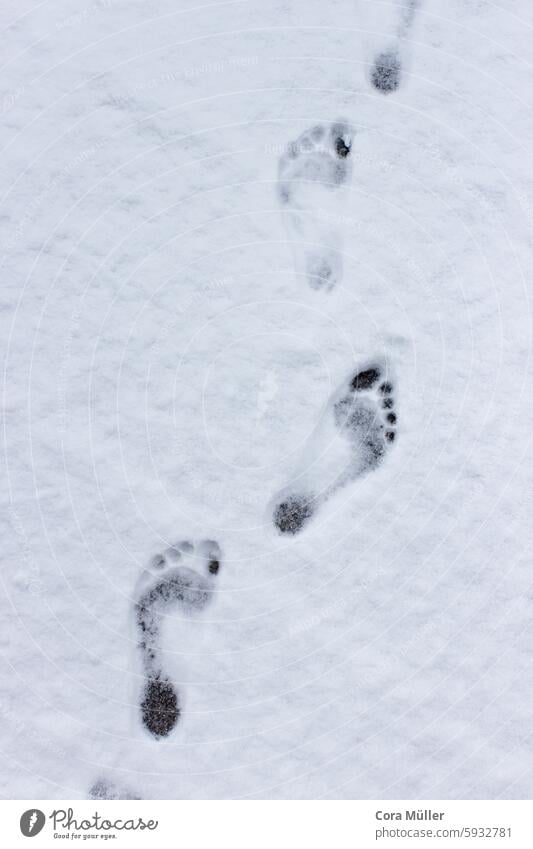 Barfußspuren im Schnee Spuren Fußabdruck barfuß kalt Winter Fußspur Schneeflocken Draufsicht Sicht von oben kalte Füße abhärten Abhärtung Schneelaufen gehen