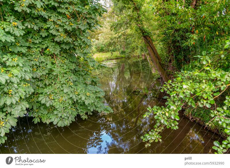 Hortillonages in Amiens amiens Frankreich Sommer sonnig hortillonages Garten Park Kanal Wasser Insel Sumpfgebiet Fluss somme schwimmende Gärten Baum Vegetation