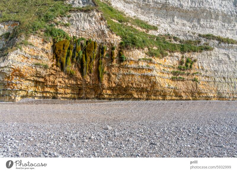 Kreidefelsen bei Saint Leonard heiliger leonard Normandie seine-maritime Frankreich zahlt de caux Ärmelkanal Alabasterküste Küstenlinie Klippe