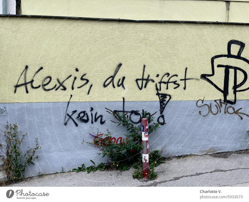 Graffiti - Alexis, du triffst kein ton! Wand gelbe Wand Schrift Wahrheit bittere Wahrheit Schriftzeichen Farbfoto Außenaufnahme Kommunizieren Ehrlichkeit Mauer