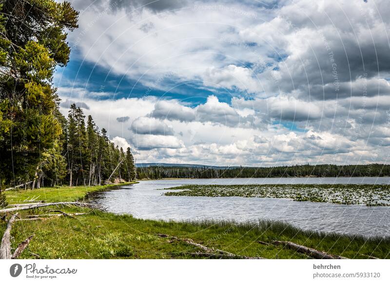 wolkengeschichten Abenteuer Natur Farbfoto Fernweh Ferne weite Ferien & Urlaub & Reisen Himmel Landschaft Wyoming Yellowstone Nationalpark Amerika USA Wildnis