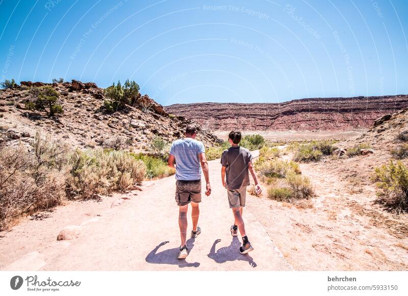 auf der sonnenseite beeindruckend Himmel Arches National Park Utah Ferne Ferien & Urlaub & Reisen Freiheit Amerika USA Fernweh unterwegs Abenteuer Hitze