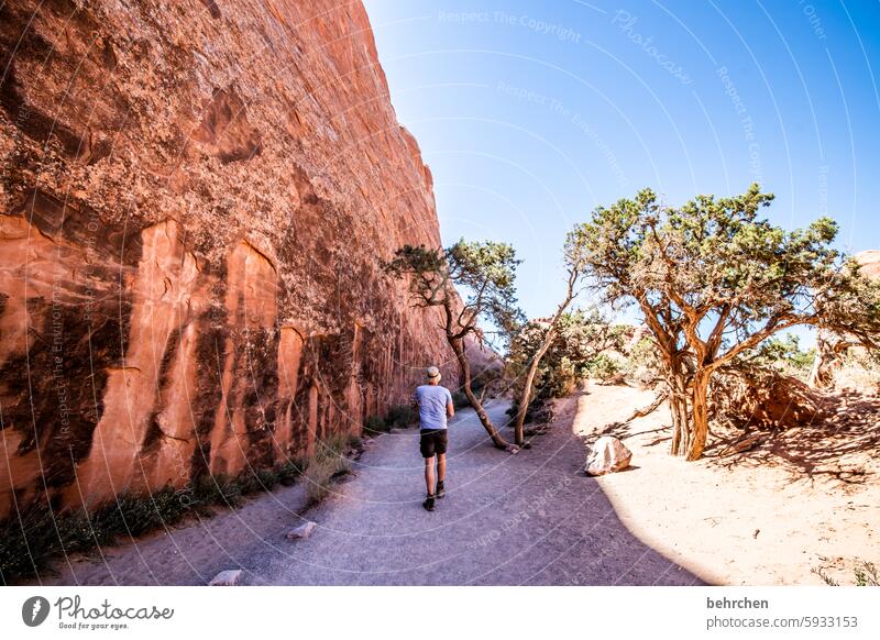 auf der schattenseite Hitze Schlucht Natur Landschaft Abenteuer unterwegs Fernweh außergewöhnlich USA Amerika Freiheit Ferien & Urlaub & Reisen Ferne Utah