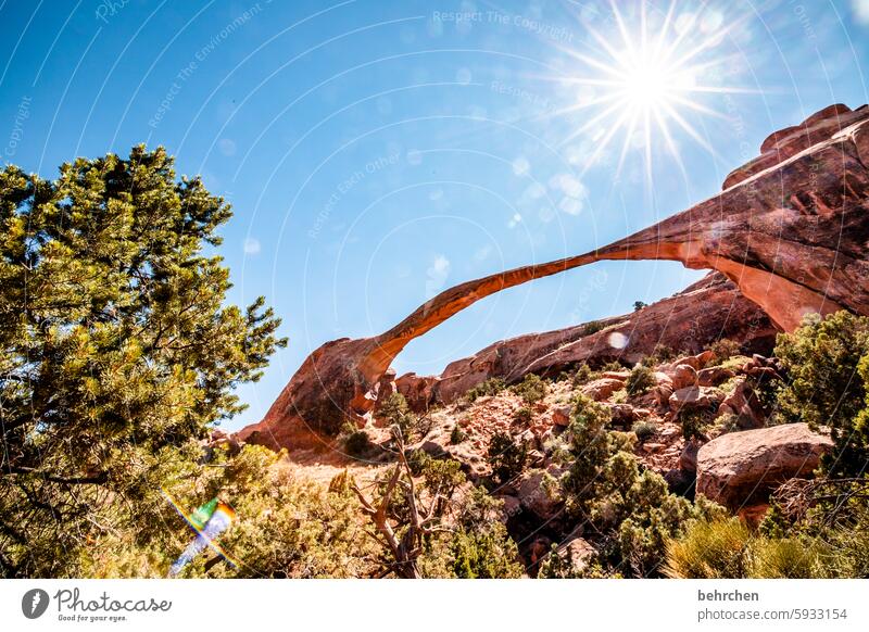 utah Bogen unterwegs Natur Landschaft Abenteuer Fernweh außergewöhnlich USA Amerika Freiheit Ferien & Urlaub & Reisen Ferne Utah Arches National Park Felsen