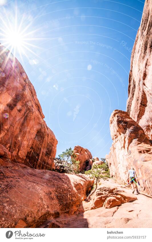 utah Sonnenstern Himmel beeindruckend Felsen Arches National Park Utah Ferne Ferien & Urlaub & Reisen Amerika USA außergewöhnlich Fernweh Abenteuer Landschaft