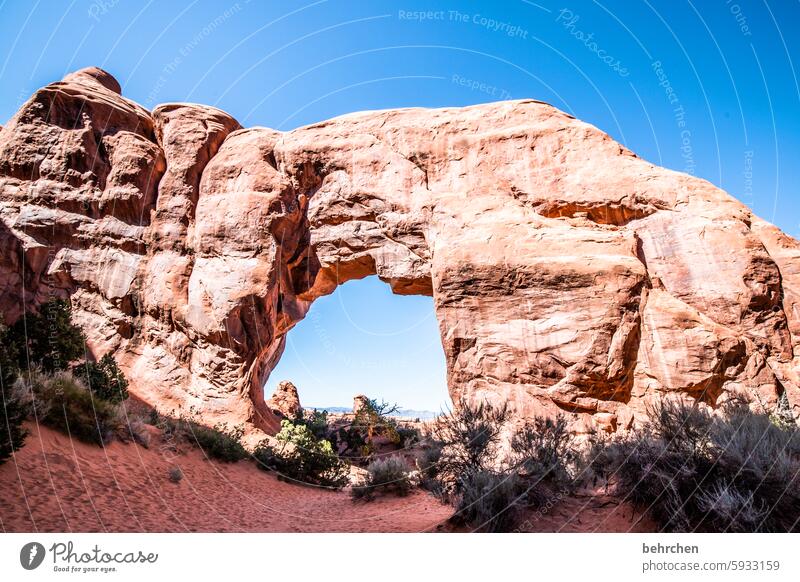 lückenhaft | fehlstelle Bogen unterwegs Natur Landschaft Abenteuer Fernweh außergewöhnlich USA Amerika Ferien & Urlaub & Reisen Ferne Utah Arches National Park