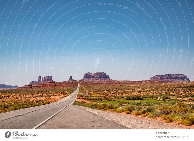 ohne umwege Landschaft Abenteuer unterwegs Endlosigkeit endlos Wege & Pfade Straße Monument Valley Arizona Fernweh Sehnsucht träumen außergewöhnlich fantastisch