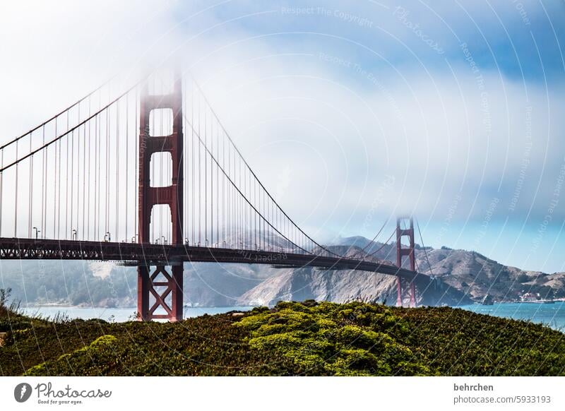 schönheit Wasser Kalifornien Attraktion Sehenswürdigkeit Architektur Brücke Wahrzeichen Golden Gate Bridge Nebel außergewöhnlich fantastisch USA San Francisco