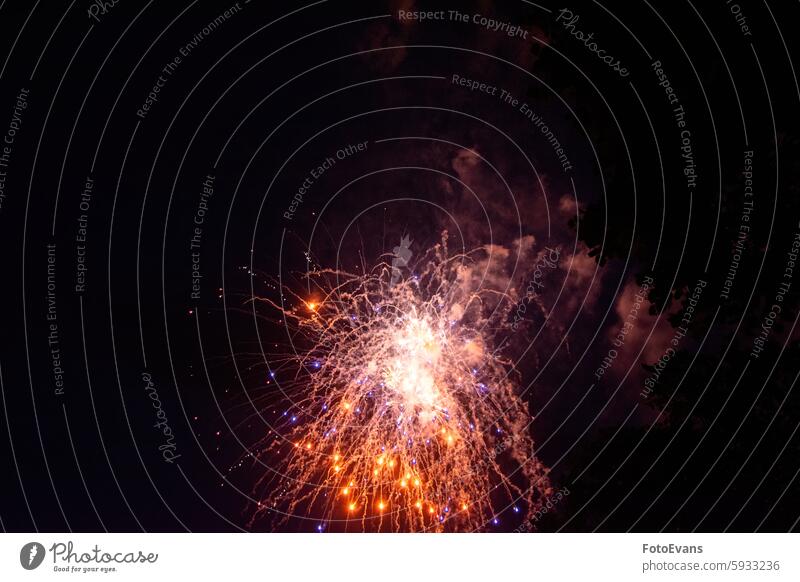 Buntes Feuerwerk bei Nacht mit einem dunklen Baum im Vordergrund Stadtfest Volksfest Lustig Rauch Zauberei u. Magie farbenfroh Lichter Pyrotechnik Veranstaltung