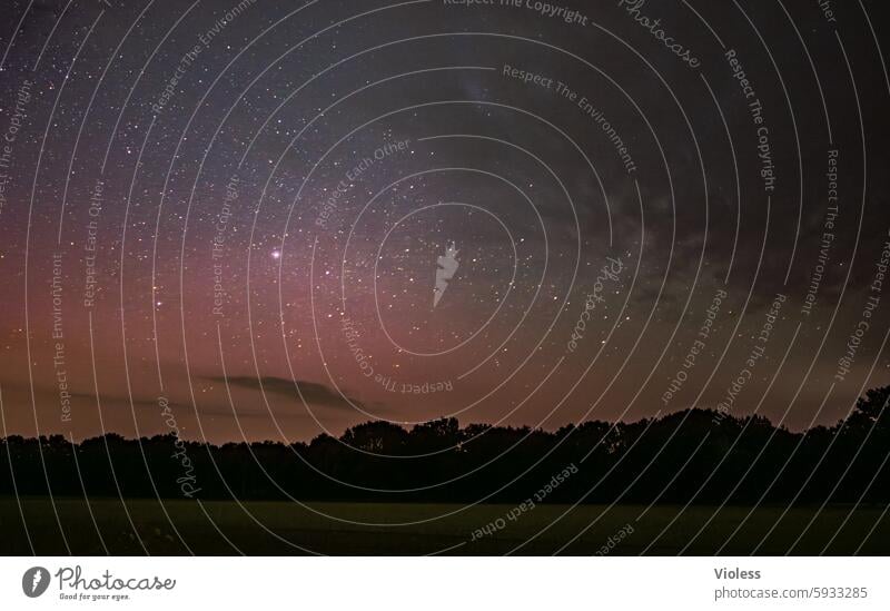 Lichter in der neuen Heimat Nordlichter Niedersachsen aurora borealis Nacht Sterne Dunkelheit silouhette Wolken Himmel