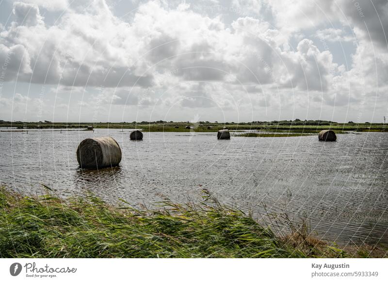 Strohballen Nach der Sturmflut Heuballen Nordsee Insel Sylt Nordseeküste Wolken Natur Flora Botanik Sommer Landwirtschaft Meer Überfluttet Überflutung