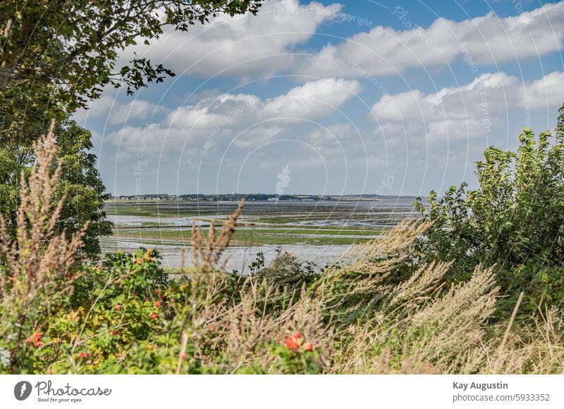 Ausblick Am Watufer Nordsee Sitzbank Relaxen Salzwiesen Küste Natur Weite Nordseeinsel Wattenmeer Nationalpark Wattenmeer Insel Schleswig Holstein Erholung