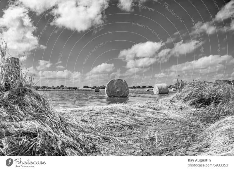 Sturmflut Nach der Sturmflut Strohballen Heuballen Nordsee Insel Sylt Nordseeküste Wolken Natur Flora Botanik Sommer Landwirtschaft Meer Überfluttet Überflutung