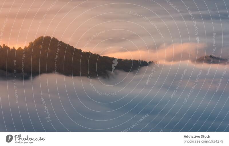 Nebliger Sonnenaufgang über einer bewaldeten Bergkuppe in malerischer Landschaft Nebel Hügel Wald Natur ruhig ätherisch Schönheit Ansicht Morgendämmerung golden