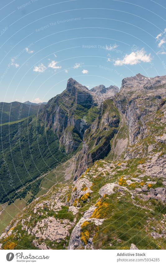 Majestätische Ausblicke auf die Gebirgsketten der Picos de Europa im Sommer Berge u. Gebirge Gipfel Tal Landschaft Picoos de europa grün robust im Freien Natur