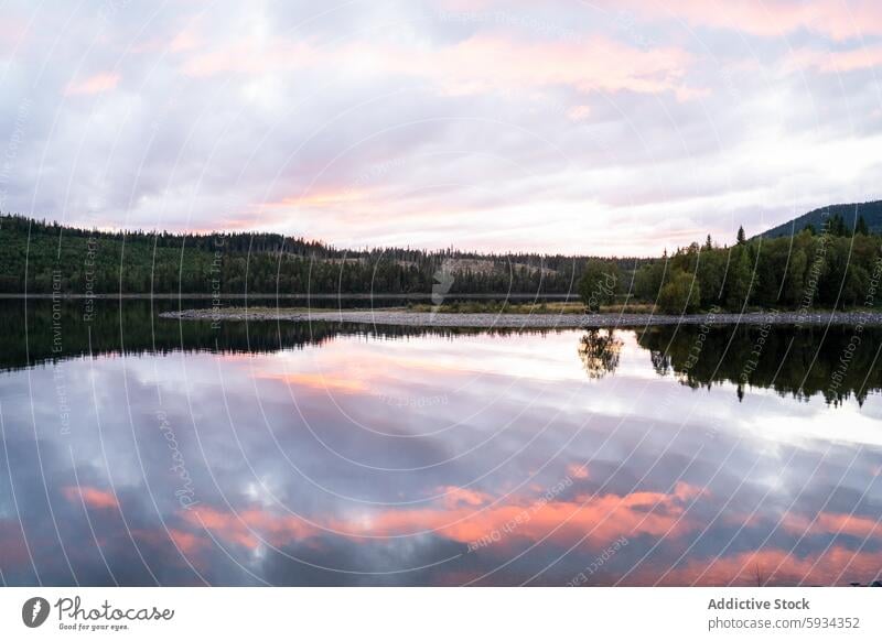 Gelassenes Seeufer bei Sonnenuntergang mit Waldkulisse Reflexion & Spiegelung Wasser Himmel Landschaft ruhig Gelassenheit Pastell pulsierend dicht friedlich