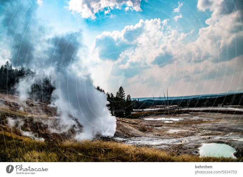 hans dampf in allen gassen besonders beeindruckend Fernweh Natur außergewöhnlich fantastisch Ferne Ferien & Urlaub & Reisen Amerika Yellowstone Nationalpark