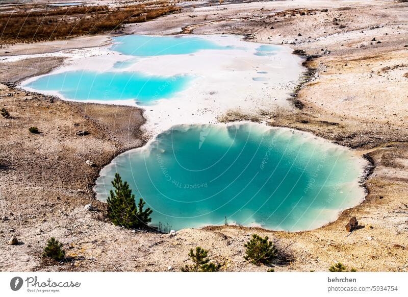 farbenfröhlich besonders Wasser beeindruckend Fernweh Natur außergewöhnlich fantastisch Ferne Ferien & Urlaub & Reisen Amerika Yellowstone Nationalpark Wyoming