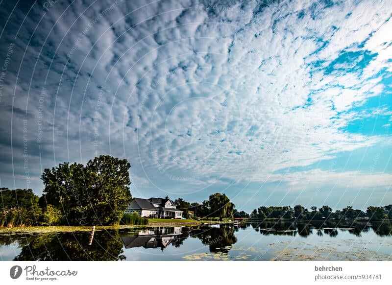 wolkensog Reflexion & Spiegelung weite Ferne Fernweh besonders Ferien & Urlaub & Reisen fantastisch Natur Landschaft See Bäume Wolken Amerika Warsaw Idylle USA