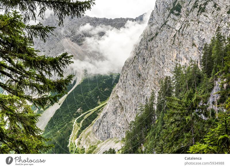 Bergwanderung Himmel Natur Steine Berge u. Gebirge steinig Gipfel Schönes Wetter Tageslicht Klima Umwelt Ferien & Urlaub & Reisen Bäume Sträucher Landschaft