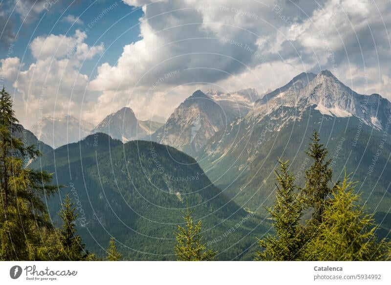 Im Gebirge Berge wandern Tourismus Landschaft Sträucher Bäume Tag Ferien & Urlaub & Reisen Umwelt Tageslicht Klima Schönes Wetter Gipfel steinig