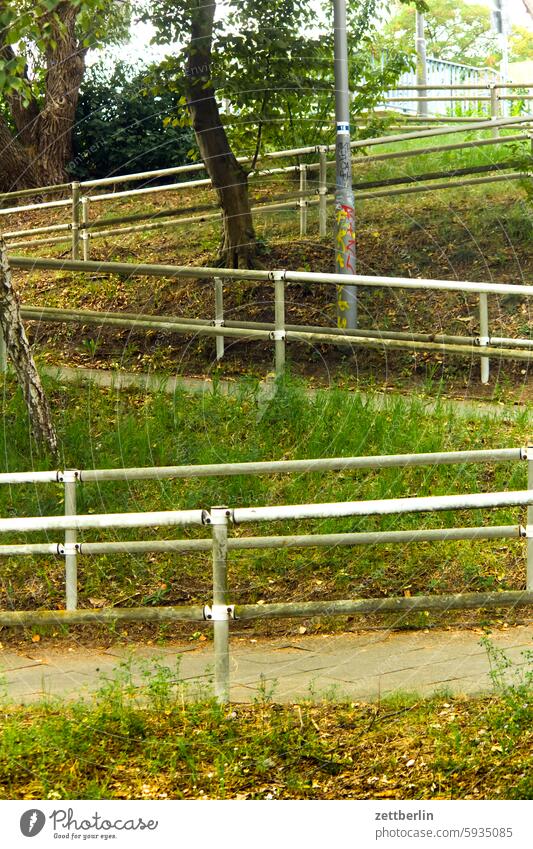 Treppe hoch, Treppe runter ast baum blühen blüte dämmerung erholung erwachen ferien garten hecke kleingarten kleingartenkolonie knospe menschenleer