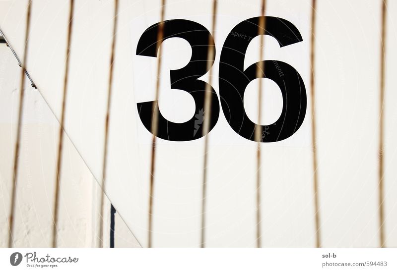 Glückszahl Stil Design Ziffern & Zahlen einfach schwarz Dienstleistungsgewerbe Zaun Tor 36 Linie Farbfoto Außenaufnahme Muster Menschenleer Textfreiraum links