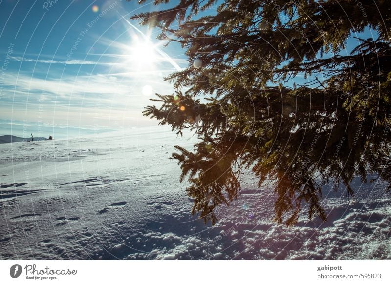 Winter kommt Umwelt Natur Landschaft Himmel Horizont Sonne Sonnenlicht Wetter Schönes Wetter Schnee Berge u. Gebirge kalt natürlich blau weiß Lebensfreude