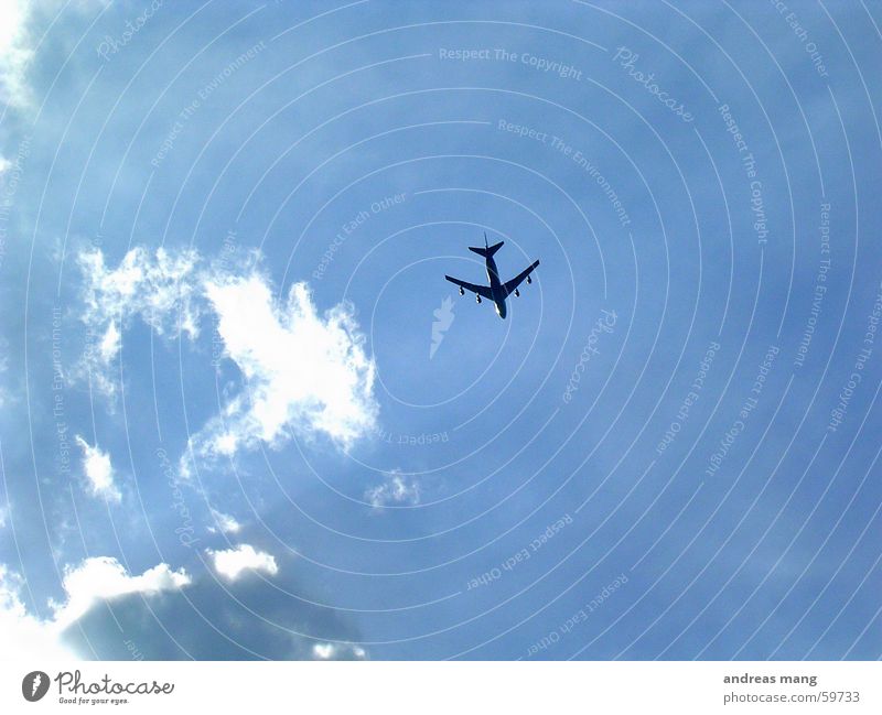 Flying High Flugzeug Wolken Abdeckung Himmel Ferne Luftverkehr fliegen Düsenflugzeug blau aeroplane flying flight sky far distance