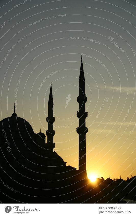 kurz vor 1001 Nacht Istanbul Moschee Sonnenuntergang Islam Religion & Glaube Stadt Türkei