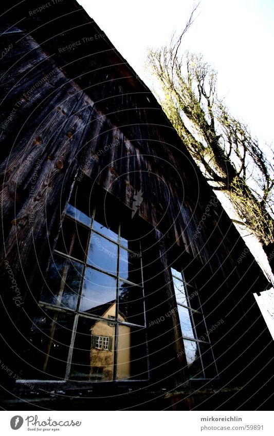 Die alte Scheune Stall Haus Spiegel Fenster Baum Reflexion & Spiegelung dunkel groß Macht Weitwinkel hell Kontrast windows tree hoch canon
