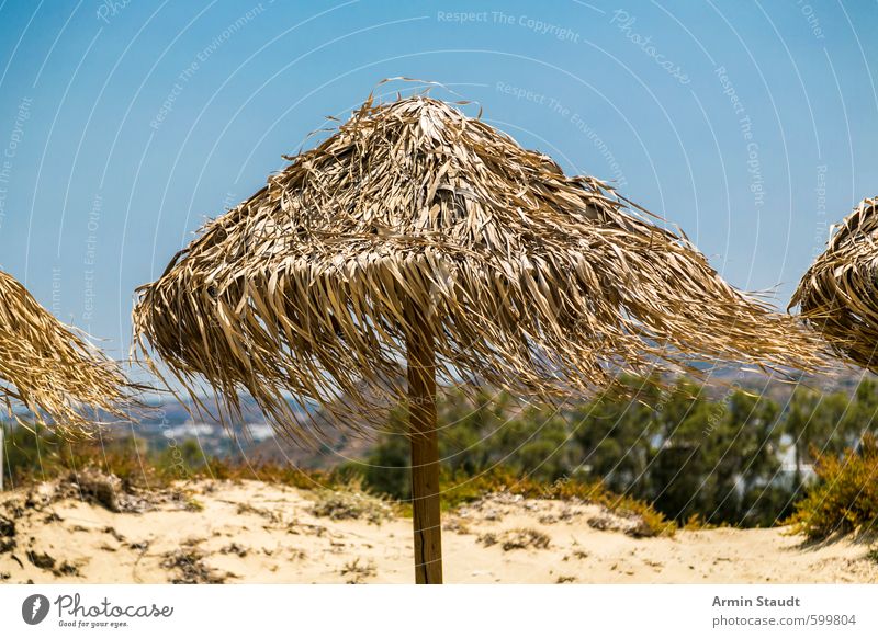 Sonnenschirm aus Schilf im Wind Erholung Ferien & Urlaub & Reisen Tourismus Sommer Sommerurlaub Sonnenbad Strand Natur Sand Wolkenloser Himmel Schönes Wetter