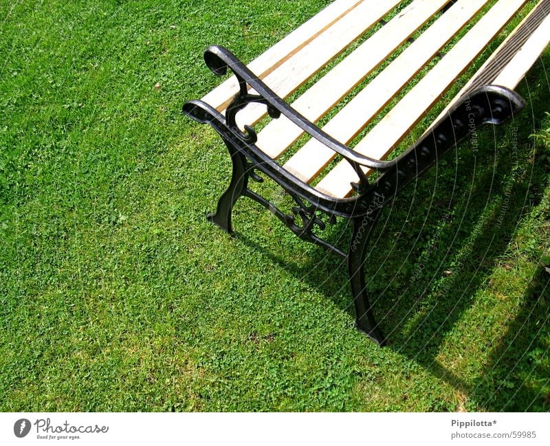 bank im grünen Gras Physik Sommer Stil Bank Rasen Sonne sitzen Wärme Garten Schatten Erholung