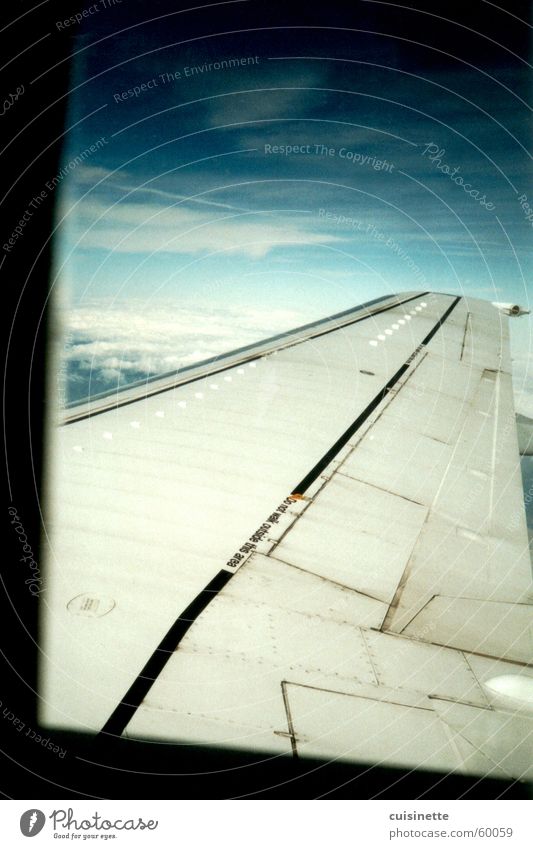 Über den Wolken Flugzeug blau Tragfläche Luft Himmel Freiheit Typographie Ferne Aussicht ruhig Unendlichkeit Fenster Luftverkehr Freude sky