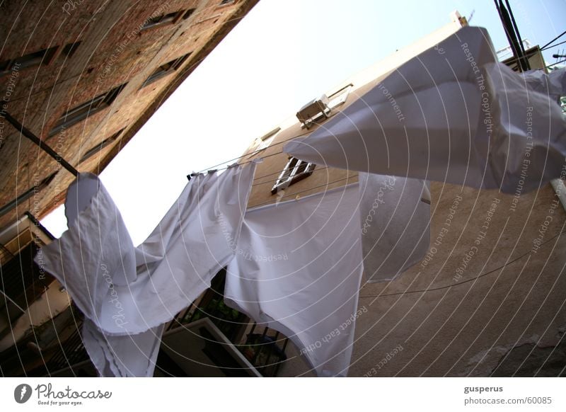 Nicht nur sauber sondern rein! Wäsche weiß Sauberkeit Hinterhof Italien Sizilien Bettwäsche Luft luftig frisch Waschmittel mediteran Wind Farbe clothes white