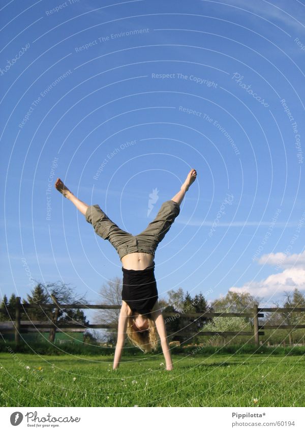 handstand Handstand Wiese Fröhlichkeit Sommer Wolken Zaun Turnen auf dem Kopf Freude Blauer Himmel Sport Mensch frei Freiheit