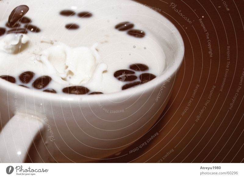"Milchkaffee" II Café Kaffeebohnen Bohnen Kurzzeitbelichtung braun weiß Tasse stagnierend Pause milchkaffe Holzbrett Wassertropfen atreyu