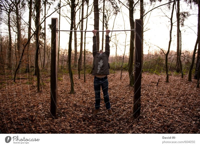 lass dich nicht hängen Fitness Waldboden wandern Sport Sport-Training Klimmzug Mensch maskulin Junger Mann Jugendliche Erwachsene Körper 1 18-30 Jahre Natur