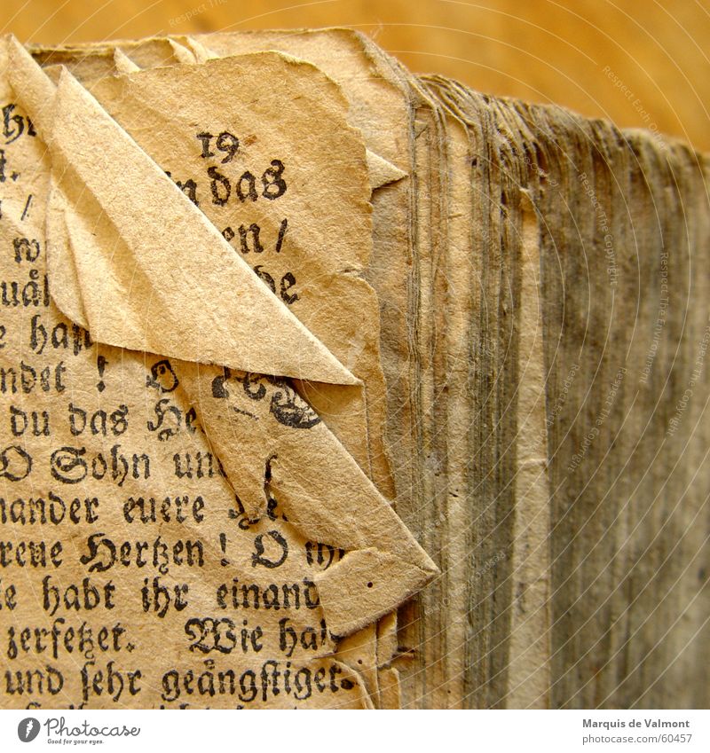 Die exhibitionistische 19 Buch Literatur Papier Bibel Eselsohr Falte verkrüppelt vergilbt staubig dreckig Buchdruck drucken Blatt lesen Typographie