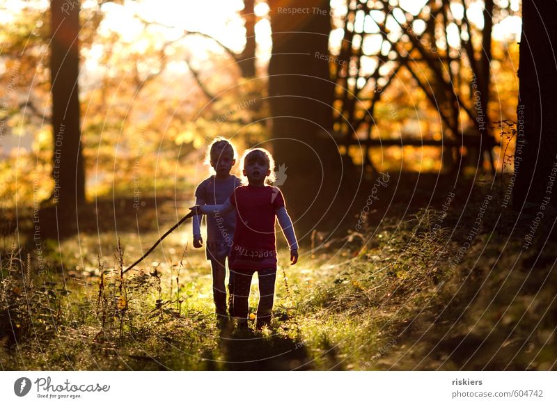 just the way you are vii Mensch feminin Kind Mädchen Geschwister Schwester Kindheit 2 3-8 Jahre Umwelt Natur Herbst Schönes Wetter Wald entdecken leuchten Blick