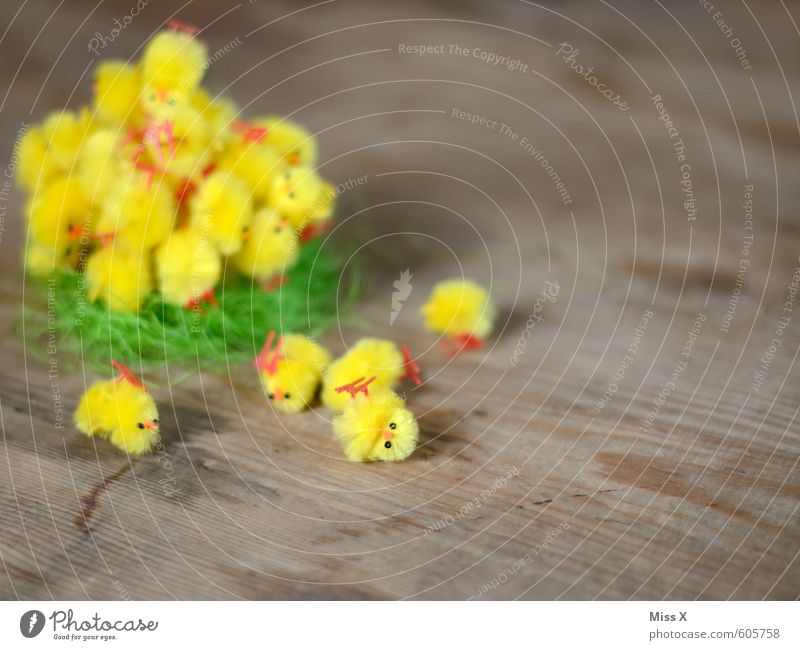 Umgefallen Dekoration & Verzierung Ostern Tier Vogel Tiergruppe Tierjunges lustig niedlich gelb Osternest Osterküken Küken Nest Haufen viele Farbfoto mehrfarbig