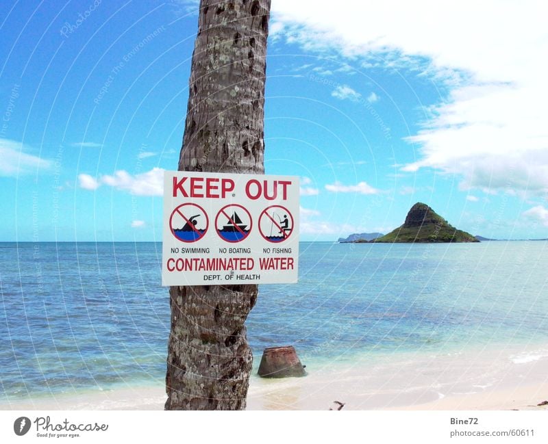 Baden verboten.... Freizeit & Hobby Ferien & Urlaub & Reisen Strand Meer Wolken Palme Verbote verzichten Hawaii Oahu Traumstrand verseucht türkis Bakterien USA